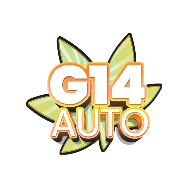 G-14 Auto