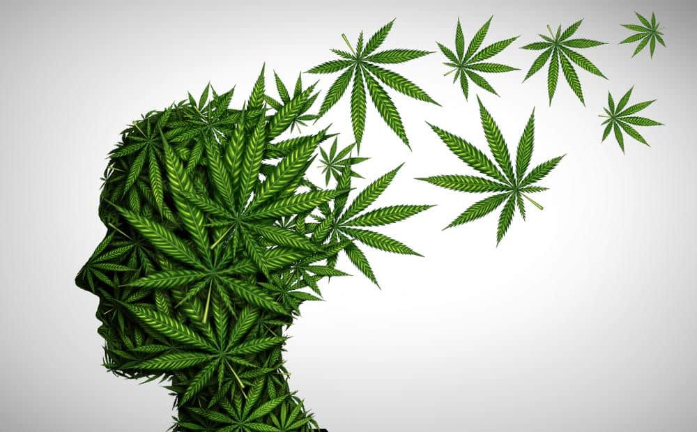 Wie man die Wirkung von Cannabis verstärkt | SeedsPlug