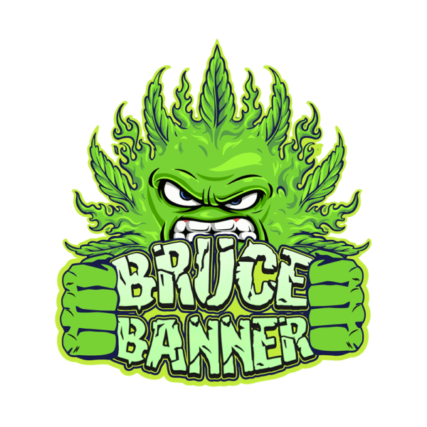 Bruce Banner Auto | SeedsPlug