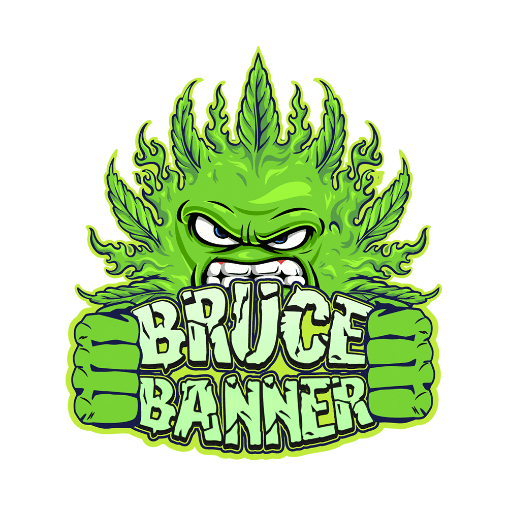 Bruce Banner Auto | SeedsPlug