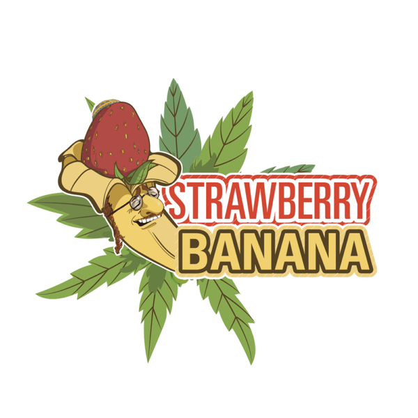 Strawberry Banana Auto | SeedsPlug