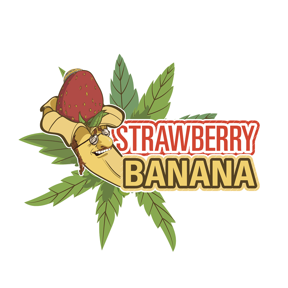 Strawberry Banana Auto | SeedsPlug