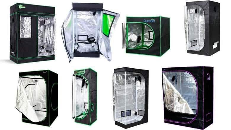 Grow Tents Available In Walmart And Home Depot | SeedsPlug