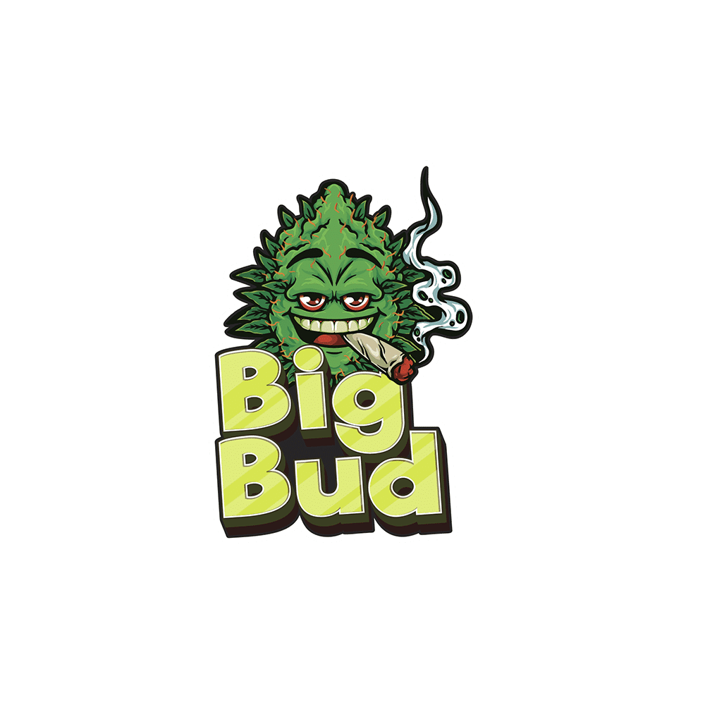 Big Bud Auto | SeedsPlug