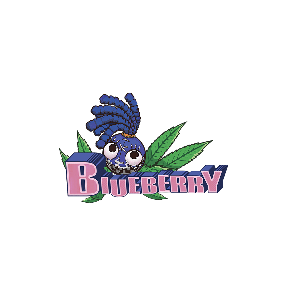 Blueberry Auto | SeedsPlug