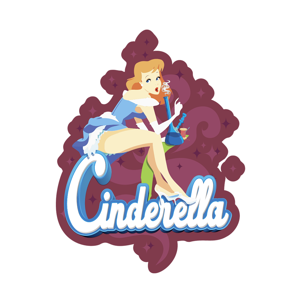 Cinderella Auto | SeedsPlug