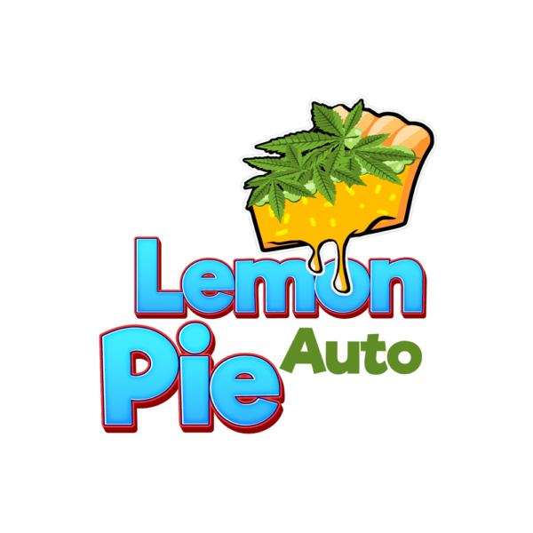 Lemon Pie Auto | SeedsPlug