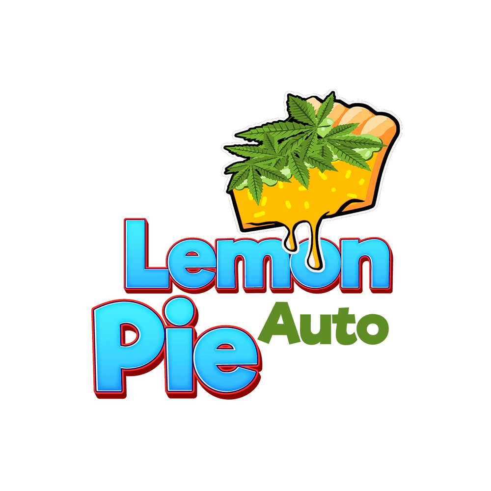 Lemon Pie Auto | SeedsPlug