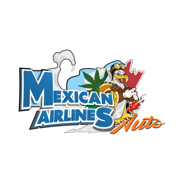 Mexican Airlines Auto | SeedsPlug