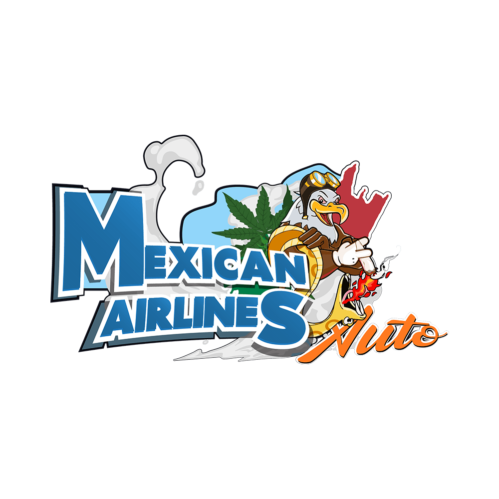 Mexican Airlines Auto | SeedsPlug