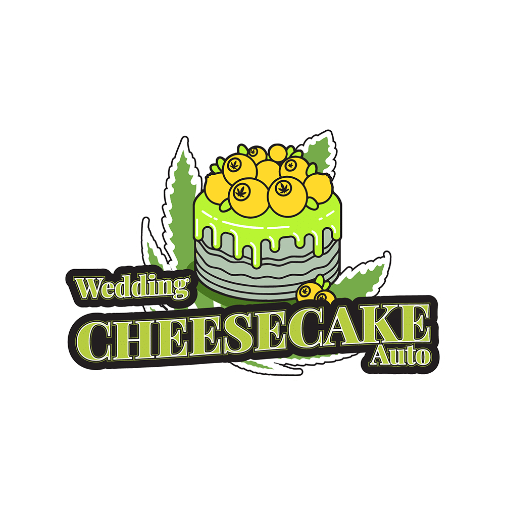 Wedding Cheesecake Auto | SeedsPlug