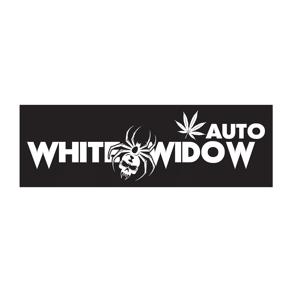 White Widow Auto | SeedsPlug
