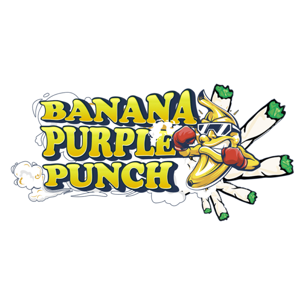 Banana Purple Punch Auto | SeedsPlug