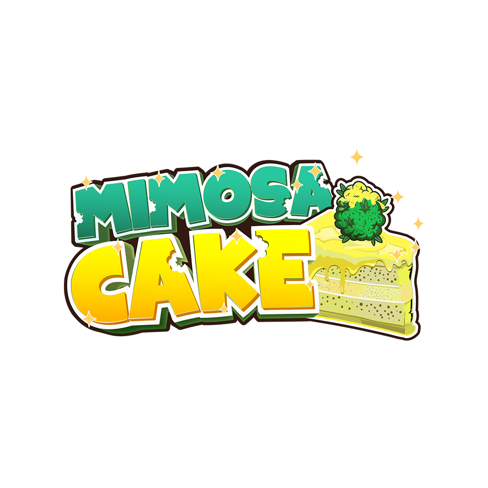 Mimosa Cake Auto | SeedsPlug