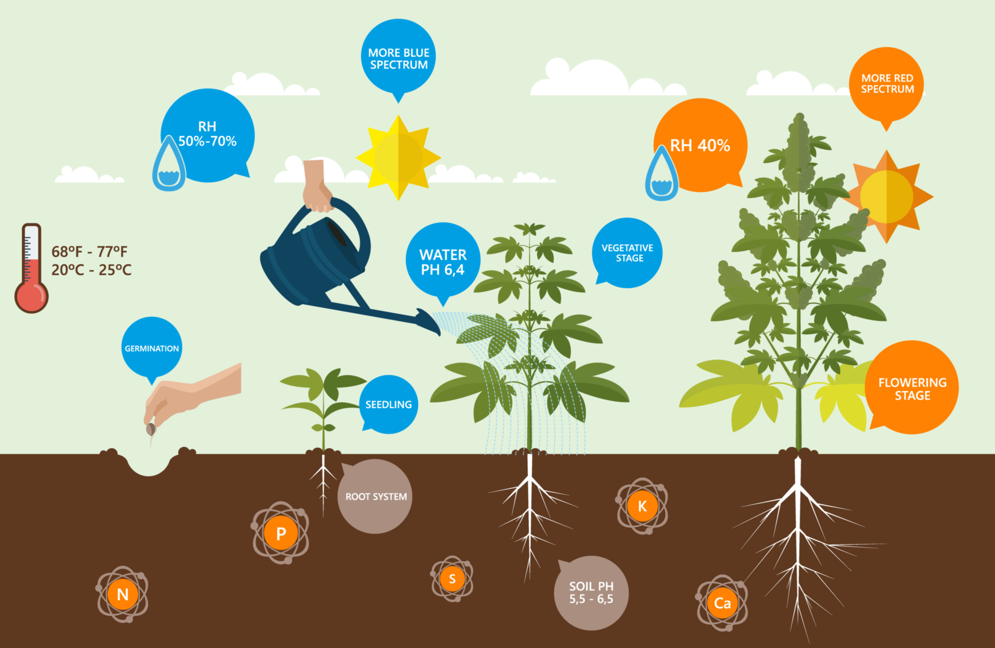 Los mejores nutrientes para las autoflores que puedes comprar en línea | SeedsPlug