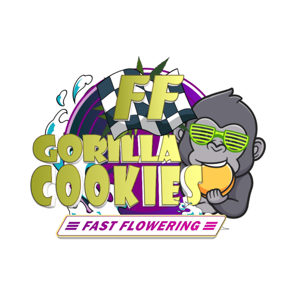 Gorilla Cookies FF | SeedsPlug