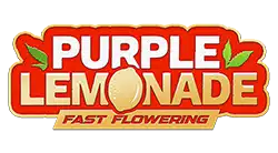 Purple Lemonade FF | SeedsPlug