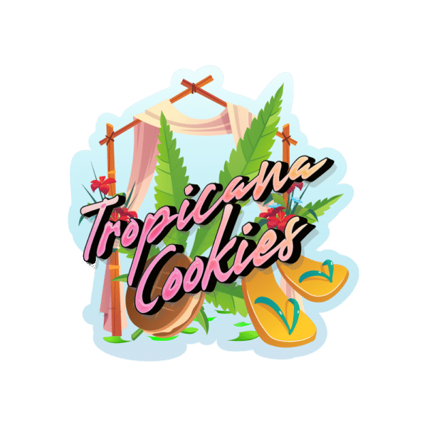 Tropicana Cookies FF | SeedsPlug
