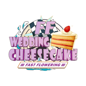 Tarta de queso de boda FF | SeedsPlug
