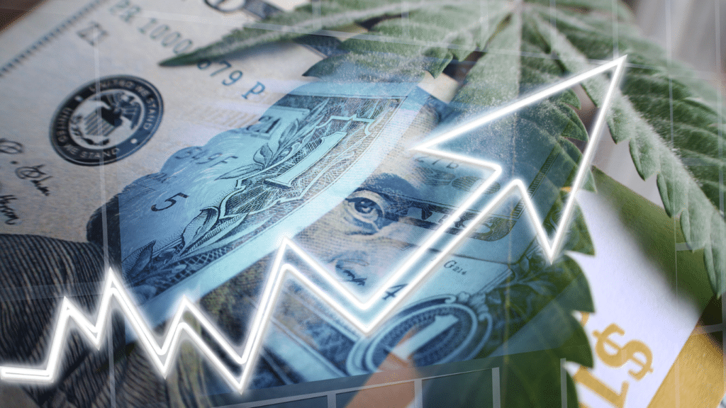 Investing in Cannabis: Opportunities & Risks | SeedsPlug