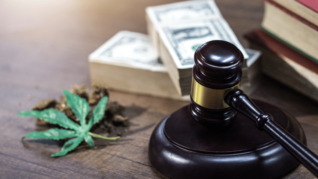 Die Legalität von Cannabis-Samen: Ein umfassender Leitfaden für den Kauf und die Verwendung von Cannabis-Samen | SeedsPlug