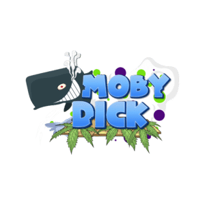 Moby Dick Auto | SeedsPlug