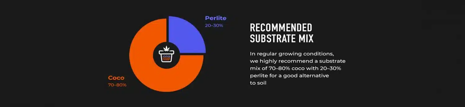 Mezcla de sustrato recomendada para el cultivo de autoflores: Ilustraciones 