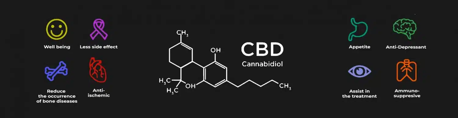 CBD Medical Benefits: Illustration 