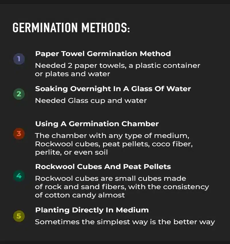 Cinco métodos de germinación para las autoflorecientes
