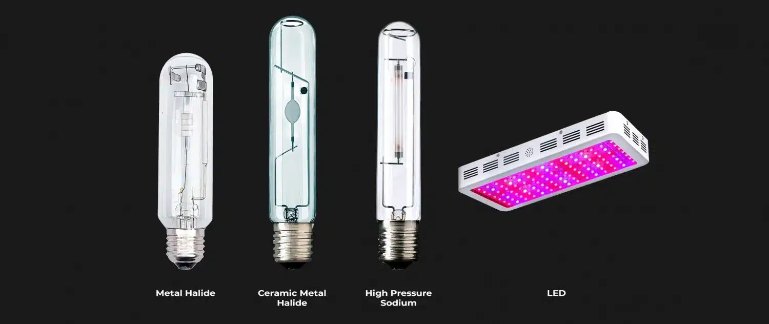 Diferentes tipos de luces: Ilustración