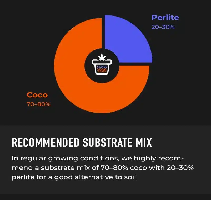 Recommended Substrate Mix for Growing Autoflowers 