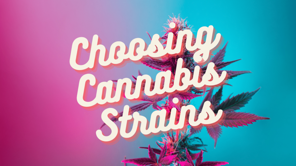 Choosing Cannabis Strains: A Professional Guide | SeedsPlug