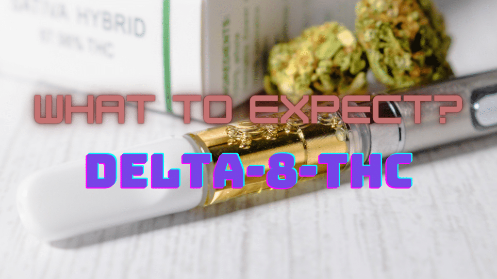 Delta-8-THC: Guía completa | SeedsPlug