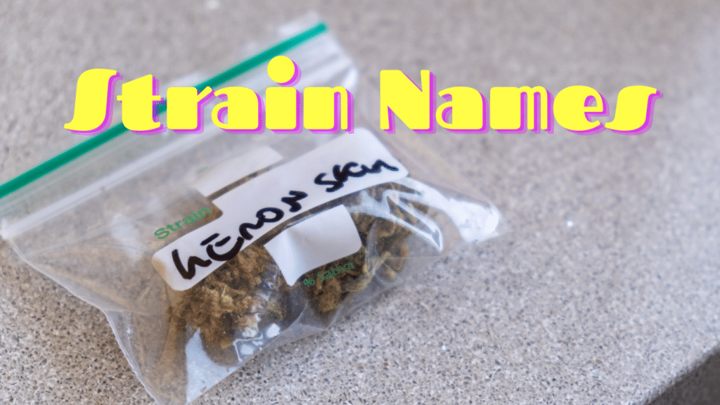 High on Names: What Strains Say About Your Stash | SeedsPlug