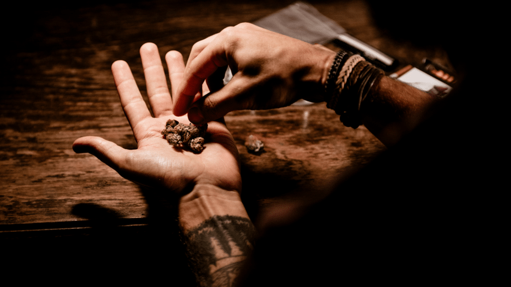 Wie fühlt es sich an, high zu sein? Die Welt des Cannabis erforschen | SeedsPlug