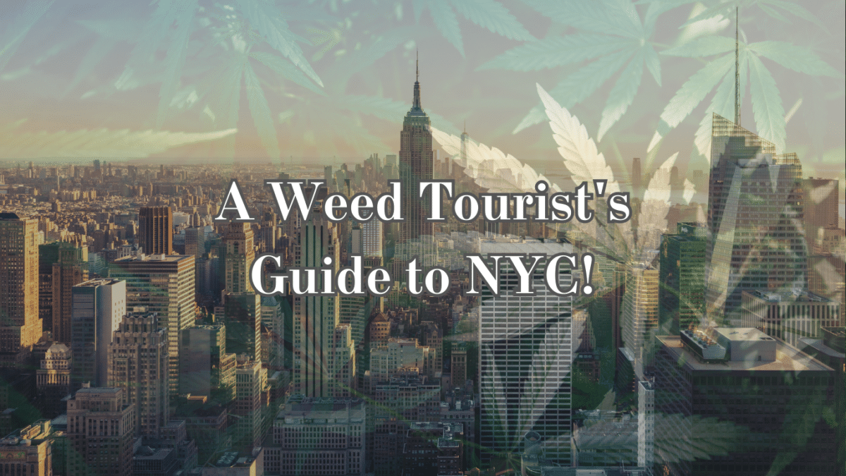 The Ultimate Weed Tourist Guide to LA Dispensaries, Smoke Spots, and More