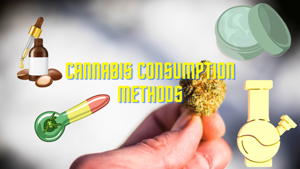 Guía completa de métodos de consumo de cannabis | SeedsPlug
