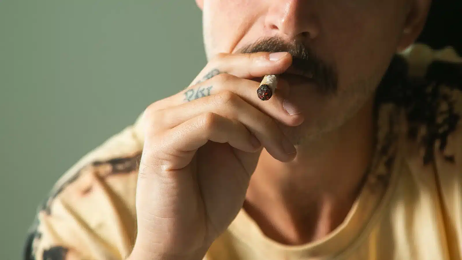 The pros and cons of smoking weed | SeedsPlug
