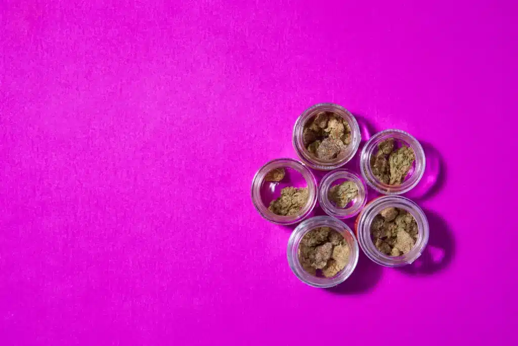 Was ist Cannabisblüten und wie konsumiert man sie? | SeedsPlug