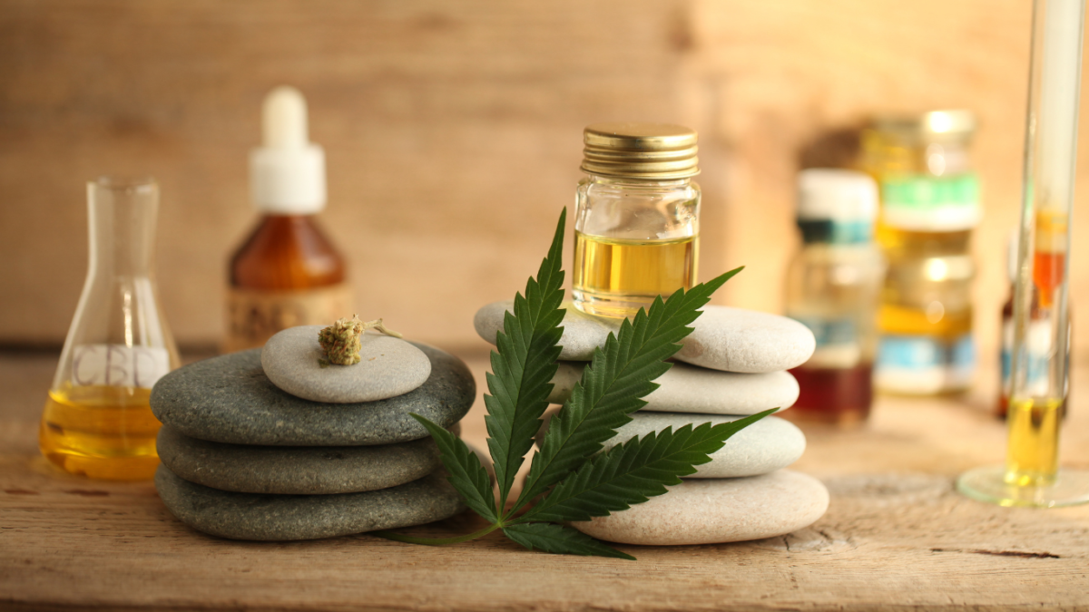 How to Make Homemade Cannabis Oil: A Step-by-Step Guide