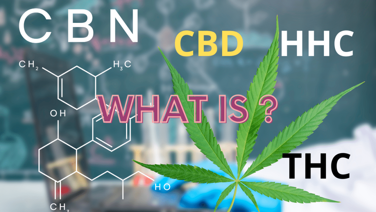 Understanding The Differences Between HHC And Delta-8 THC