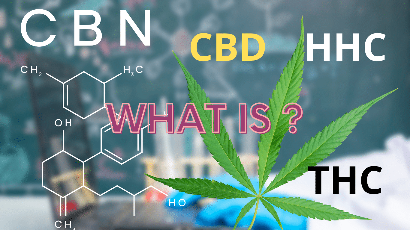 Understanding HHC: A Professional Overview | SeedsPlug