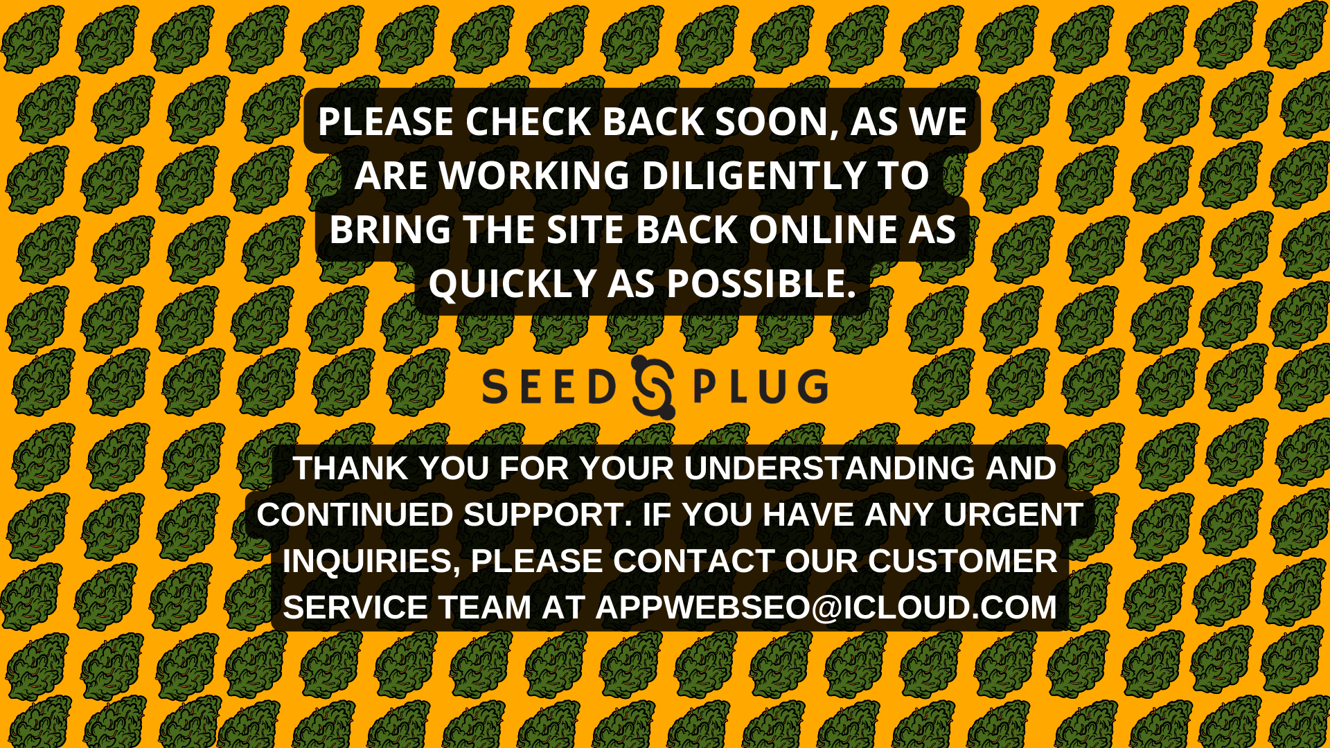 Maintenance Page | SeedsPlug